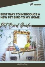 Best way to introduce a new pet bird to my home af Anatolii Ahryr