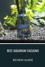 Best Aquarium Vacuums af Roman Pirogov