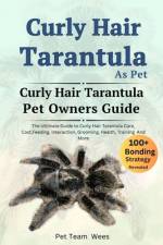 Curly Hair Tarantula as Pet af Pet Team Wees