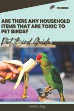 Are there any household items that are toxic to pet birds? af Anatolii Ahryr