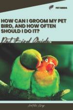 How can I groom my pet bird, and how often should I do it? af Anatolii Ahryr