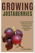 Growing Jostaberries af Shane Bowie