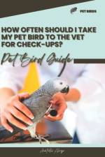 How often should I take my pet bird to the vet for check-ups? af Anatolii Ahryr