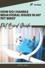 How do I handle behavioral issues in my pet bird? af Anatolii Ahryr