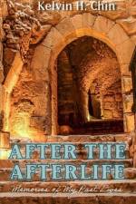 After the Afterlife af Kelvin H Chin