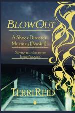 BlowOut af Terri Reid
