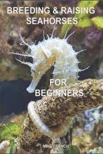 Breeding & Raising Seahorses af Mike French