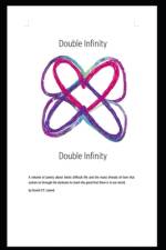 Double Infinity af David C P Leland