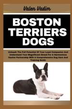 Boston Terriers Dogs af Valen Vadim