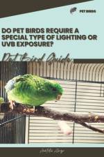 Do pet birds require a special type of lighting or UVB exposure? af Anatolii Ahryr