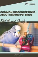 Common misconceptions about keeping pet birds af Anatolii Ahryr