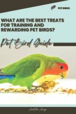 What are the best treats for training and rewarding pet birds? af Anatolii Ahryr