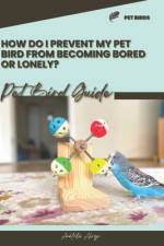 How do I prevent my pet bird from becoming bored or lonely? af Anatolii Ahryr
