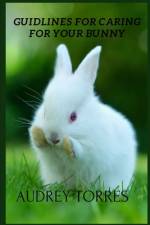 Guidelines for caring for your bunny af Audrey Torres