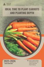 Ideal time to plant carrots and planting depth af Van Doichev