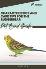 Characteristics and care tips for the Budgerigar af Anatolii Ahryr