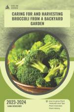 Caring for and harvesting broccoli from a backyard garden af Van Doichev