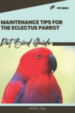 Maintenance tips for the Eclectus Parrot af Anatolii Ahryr