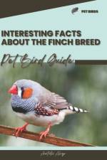 Interesting facts about the Finch breed af Anatolii Ahryr