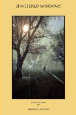 Shattered Windows af Deborah L Fruchey