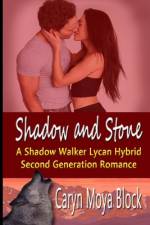 Shadow and Stone af Caryn Moya Block