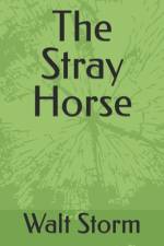 The Stray Horse af Walt Storm