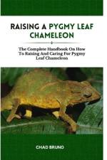 Raising a Pygmy Leaf Chameleon af Chad Bruno