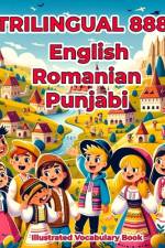 Trilingual 888 English Romanian Punjabi Illustrated Vocabulary Book af Jessica Lane