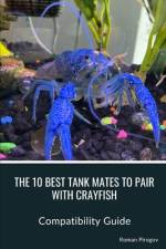 The 10 Best Tank Mates to Pair with Crayfish af Roman Pirogov