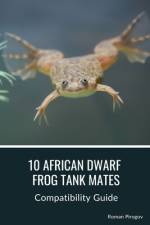 10 African Dwarf Frog Tank Mates af Roman Pirogov