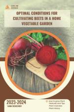 Optimal conditions for cultivating beets in a home vegetable garden af Van Doichev