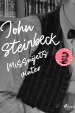 Missnöjets vinter af John Steinbeck