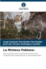 La Mixteca Poblana: af Jorge Ezequiel Hernández Hernández