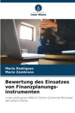 Bewertung des Einsatzes von Finanzplanungs-instrumenten af María Rodríguez