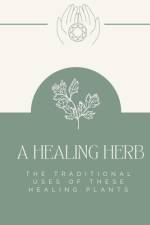 A Healing Herb af Alex Wang