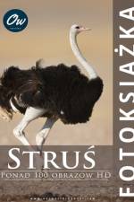 Struś af A Arelt