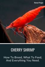 Cherry Shrimp af Roman Pirogov