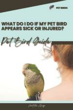 What do I do if my pet bird appears sick or injured? af Anatolii Ahryr