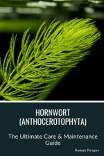 Hornwort (Anthocerotophyta) af Roman Pirogov