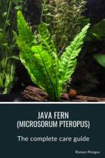 Java fern (microsorum pteropus) af Roman Pirogov