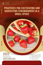 Practices for cultivating and harvesting strawberries in a small space af Van Doichev