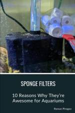 Sponge Filters af Roman Pirogov