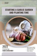 Starting a garlic garden and planting time af Van Doichev