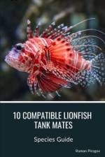 10 Compatible Lionfish Tank Mates af Roman Pirogov