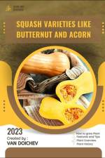 Squash varieties like butternut and acorn af Van Doichev