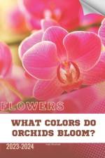 What Colors Do Orchids Bloom? af Ivan Moshak