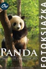 Panda af A Arelt