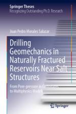 Drilling Geomechanics in Naturally Fractured Reservoirs Near Salt Structures af Juan Pedro Morales Salazar