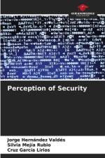 Perception of Security af Jorge Hernández Valdés