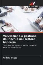Valutazione e gestione del rischio nel settore bancario af Abdalla Chebo